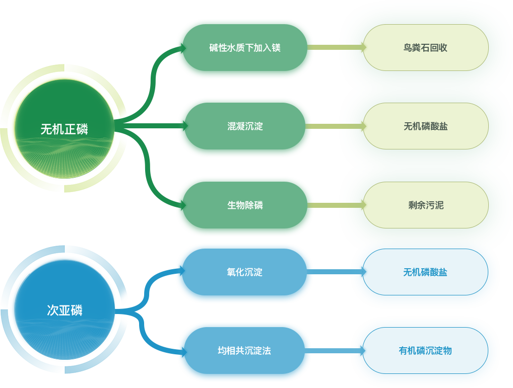Bio More?君諾葆生物催化反應(yīng)器(圖1)